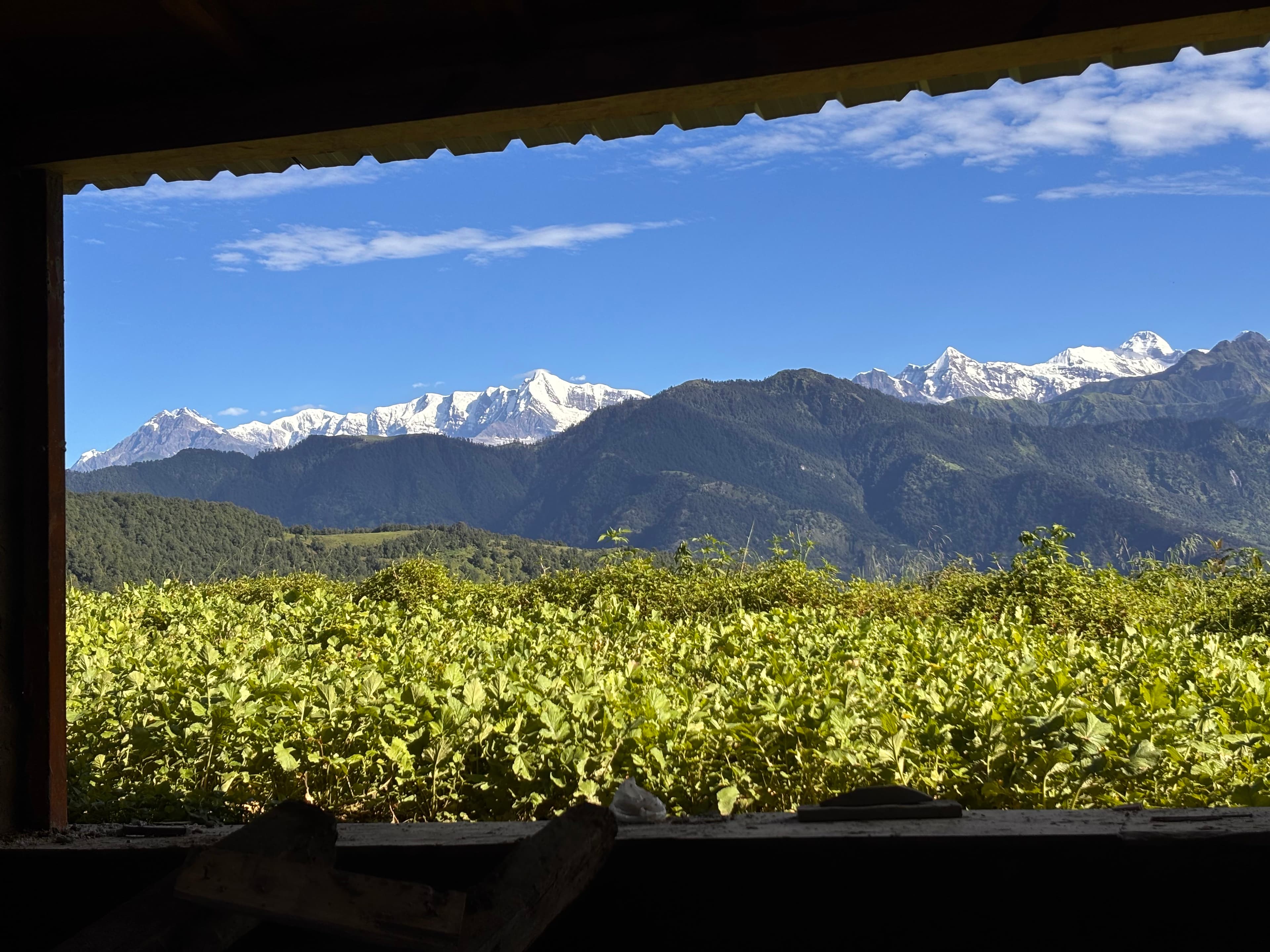 Offbeat Shama Basecamp Retreat